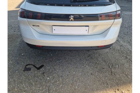 2021 Peugeot 508, Dyzelinas