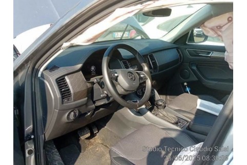 2023 Skoda Kodiaq, Dyzelinas
