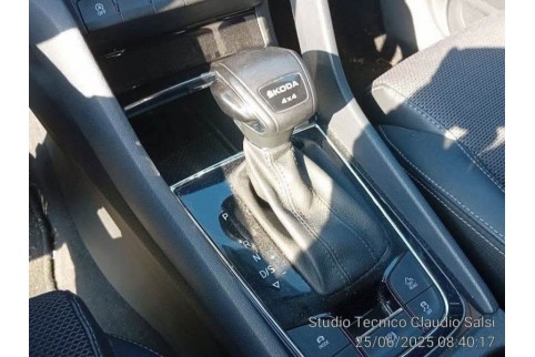 2023 Skoda Kodiaq, Dyzelinas