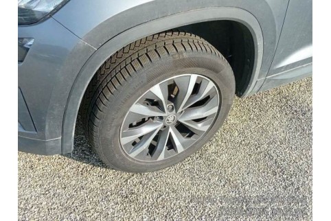 2023 Skoda Kodiaq, Dyzelinas