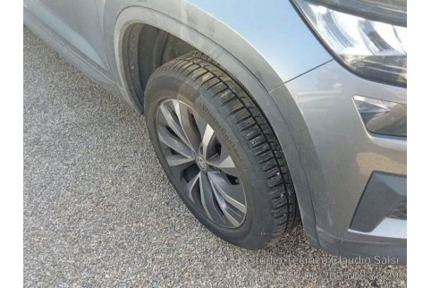 2023 Skoda Kodiaq, Dyzelinas