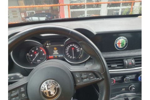 2021 Alfa Romeo Stelvio, Dyzelinas