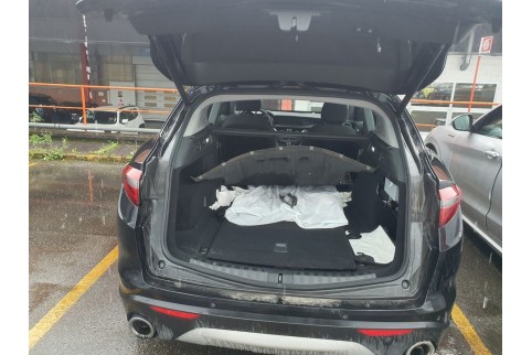 2021 Alfa Romeo Stelvio, Dyzelinas