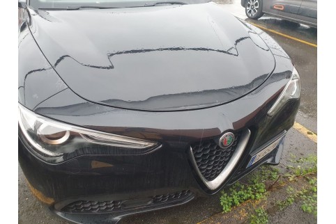 2021 Alfa Romeo Stelvio, Dyzelinas