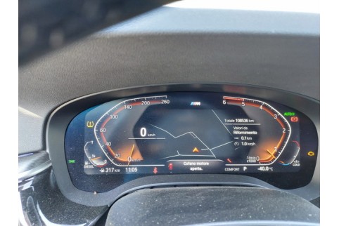 2021 BMW 530, Dyzelinas