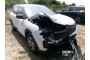 2023 Citroën C5 Aircross, Dyzelinas