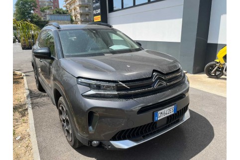 2022 Citroën C5 Aircross, Dyzelinas