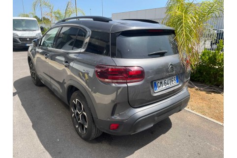 2022 Citroën C5 Aircross, Dyzelinas