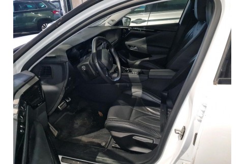 2022 DS  DS4, Dyzelinas