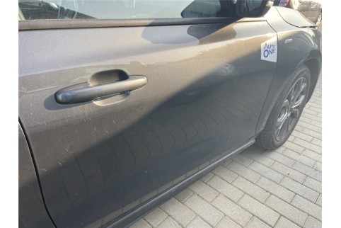 2023 Ford Focus, Benzinas / Elektra