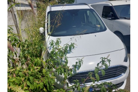 2020 Ford Tourneo, Dyzelinas