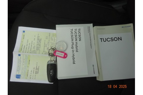2021 Hyundai Tucson, Dyzelinas