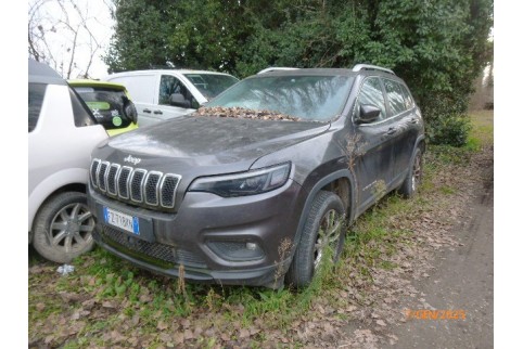 2019 Jeep Cherokee, Dyzelinas