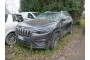 2019 Jeep Cherokee, Dyzelinas