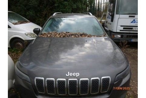 2019 Jeep Cherokee, Dyzelinas