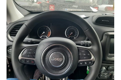 2022 Jeep Renegade, Benzinas / Elektra