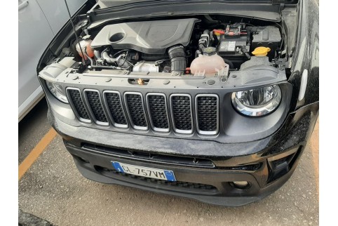 2022 Jeep Renegade, Benzinas / Elektra