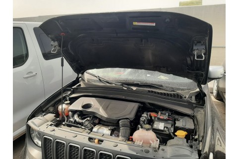 2022 Jeep Renegade, Benzinas / Elektra