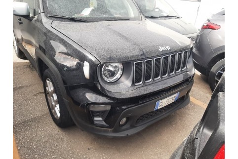 2022 Jeep Renegade, Benzinas / Elektra