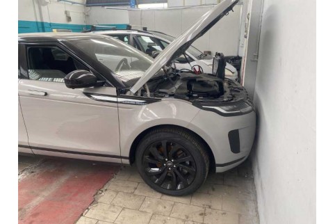 2021 Land Rover Range Rover Evoque, Dyzelinas