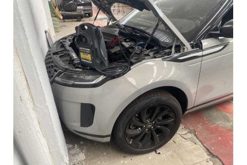 2021 Land Rover Range Rover Evoque, Dyzelinas