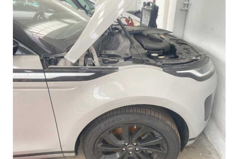2021 Land Rover Range Rover Evoque, Dyzelinas