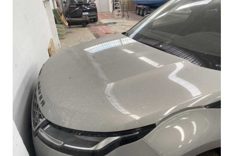 2021 Land Rover Range Rover Evoque, Dyzelinas