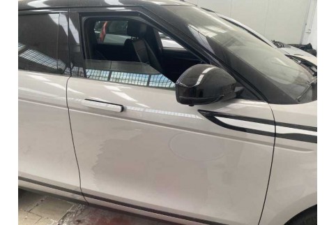 2021 Land Rover Range Rover Evoque, Dyzelinas