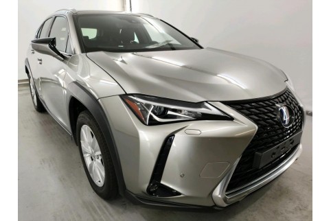 2020 Lexus UX 250h, Benzinas / Elektra