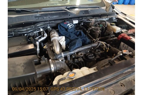 2019 Nissan Navara, Dyzelinas