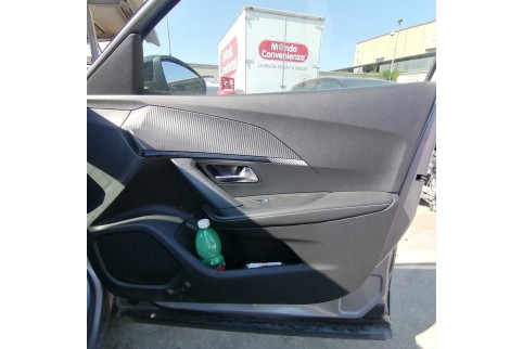 2023 Peugeot 2008, Dyzelinas