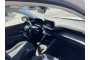 2021 Peugeot 208, Dyzelinas