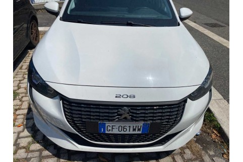 2021 Peugeot 208, Dyzelinas