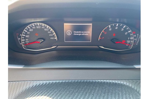 2021 Peugeot 208, Dyzelinas