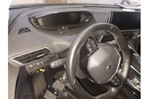 2021 Peugeot 3008, Dyzelinas