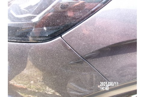 2021 Peugeot 3008, Dyzelinas