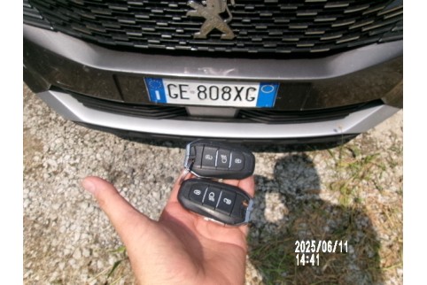 2021 Peugeot 3008, Dyzelinas