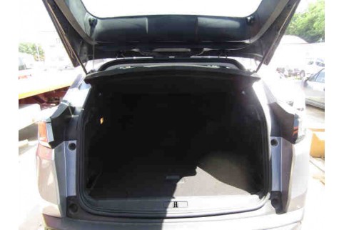 2021 Peugeot 3008, Dyzelinas