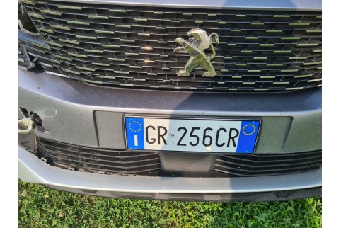 2023 Peugeot 3008, Dyzelinas