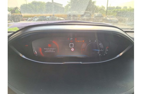 2023 Peugeot 3008, Dyzelinas