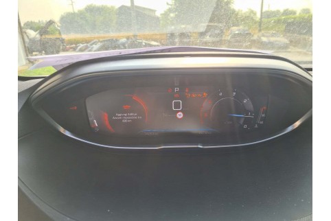 2023 Peugeot 3008, Dyzelinas