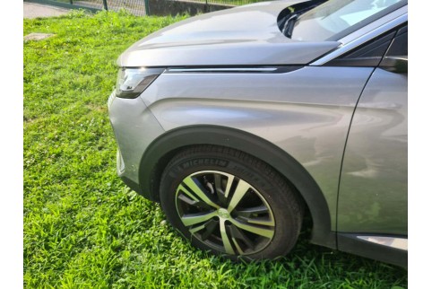 2023 Peugeot 3008, Dyzelinas