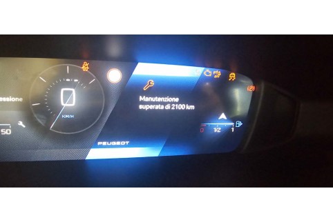 2022 Peugeot 308, Dyzelinas