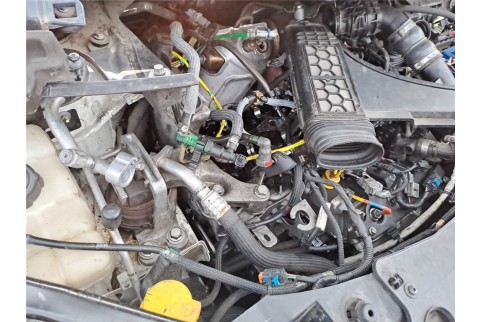 2019 Renault Scenic, Dyzelinas