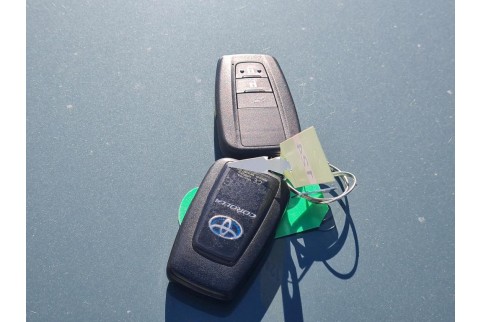 2020 Toyota Corolla, Benzinas / Elektra