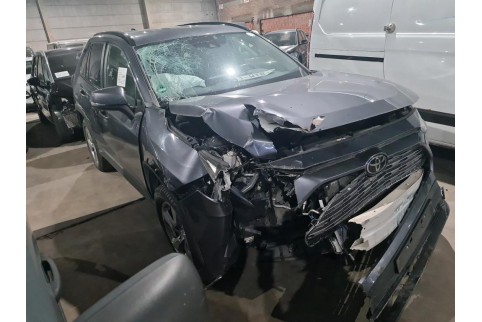 2019 Toyota RAV 4, Benzinas / Elektra
