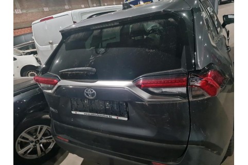 2019 Toyota RAV 4, Benzinas / Elektra
